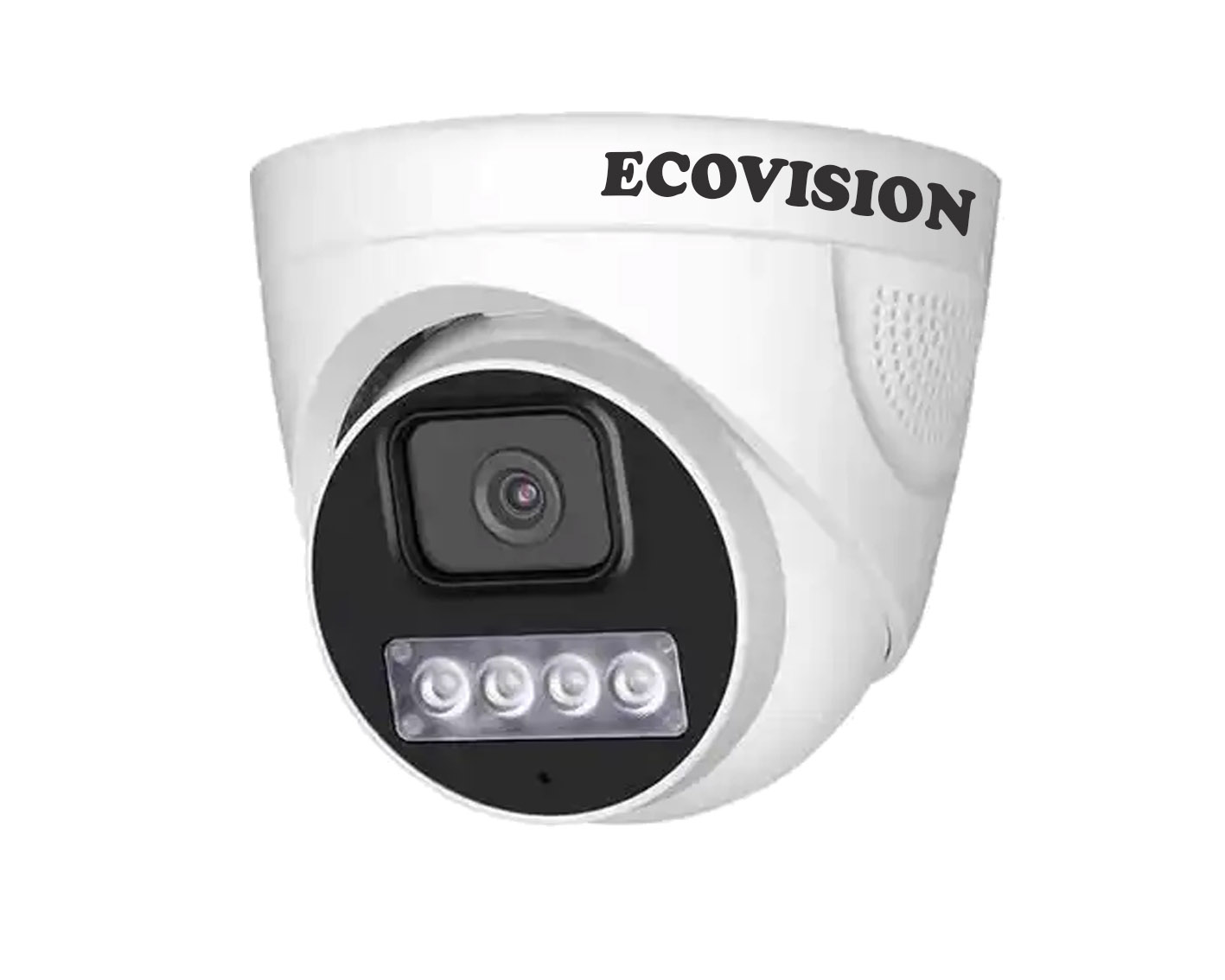 speaker dome cam1